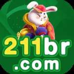 211br Casino King v5.8.1